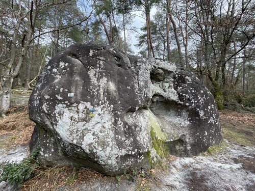 Image of Le Révil
